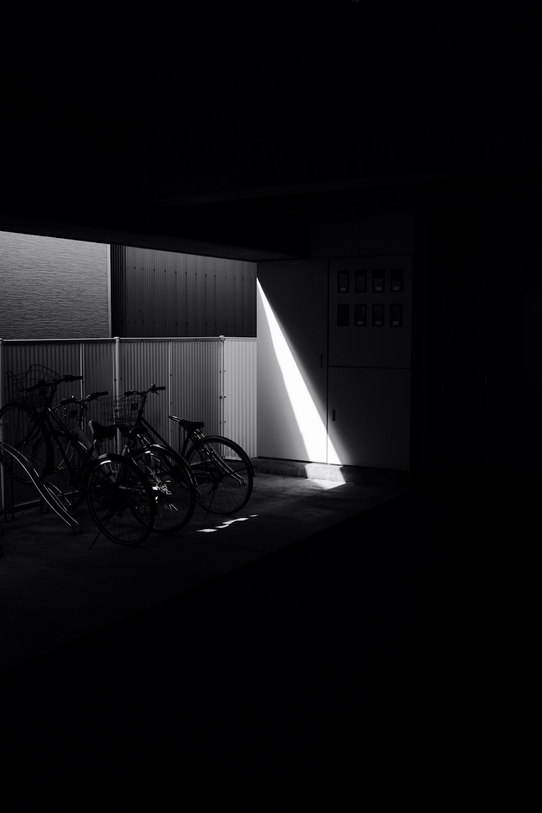 grayscale photo of bicycle in room