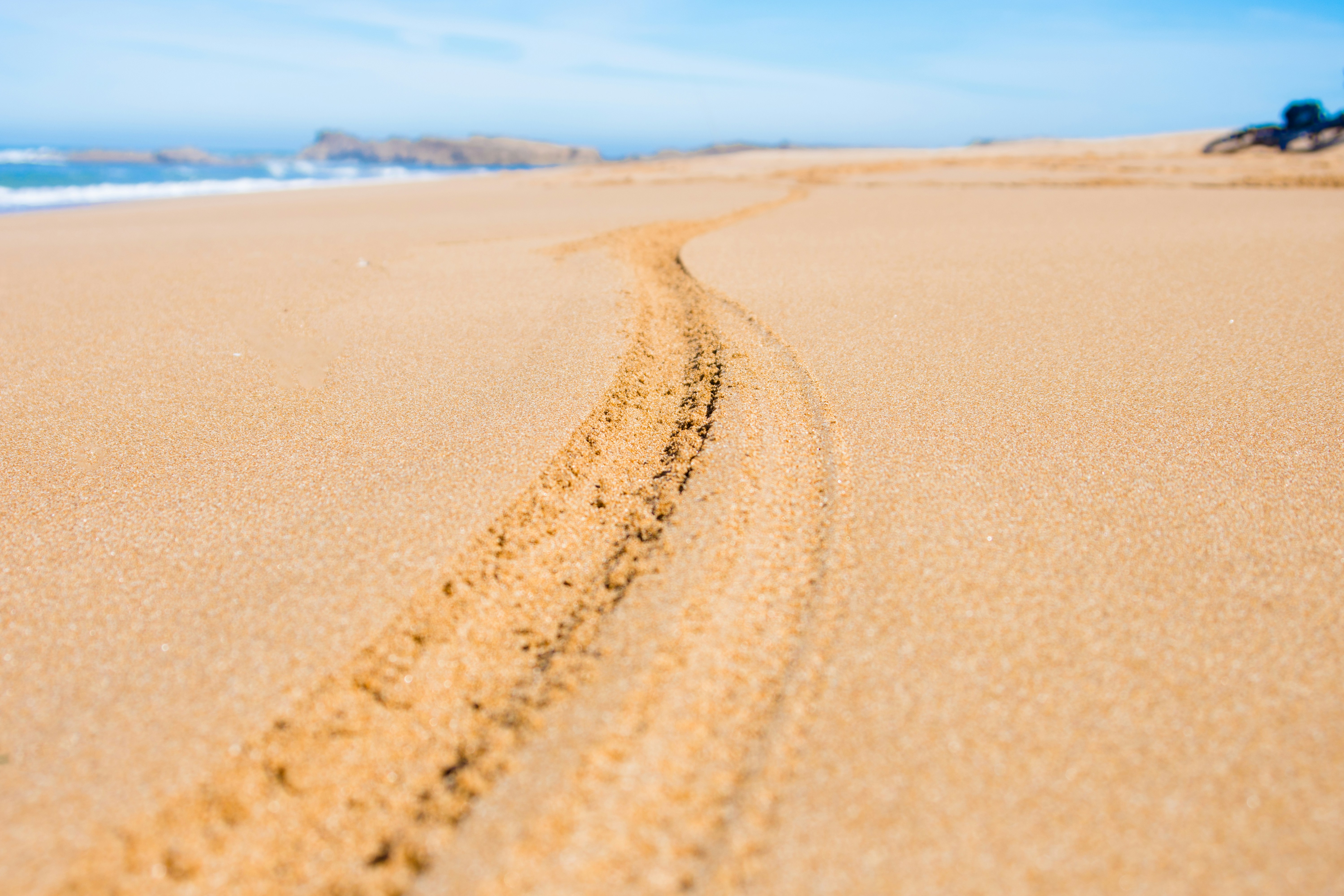brown sand under blue sky during daytime