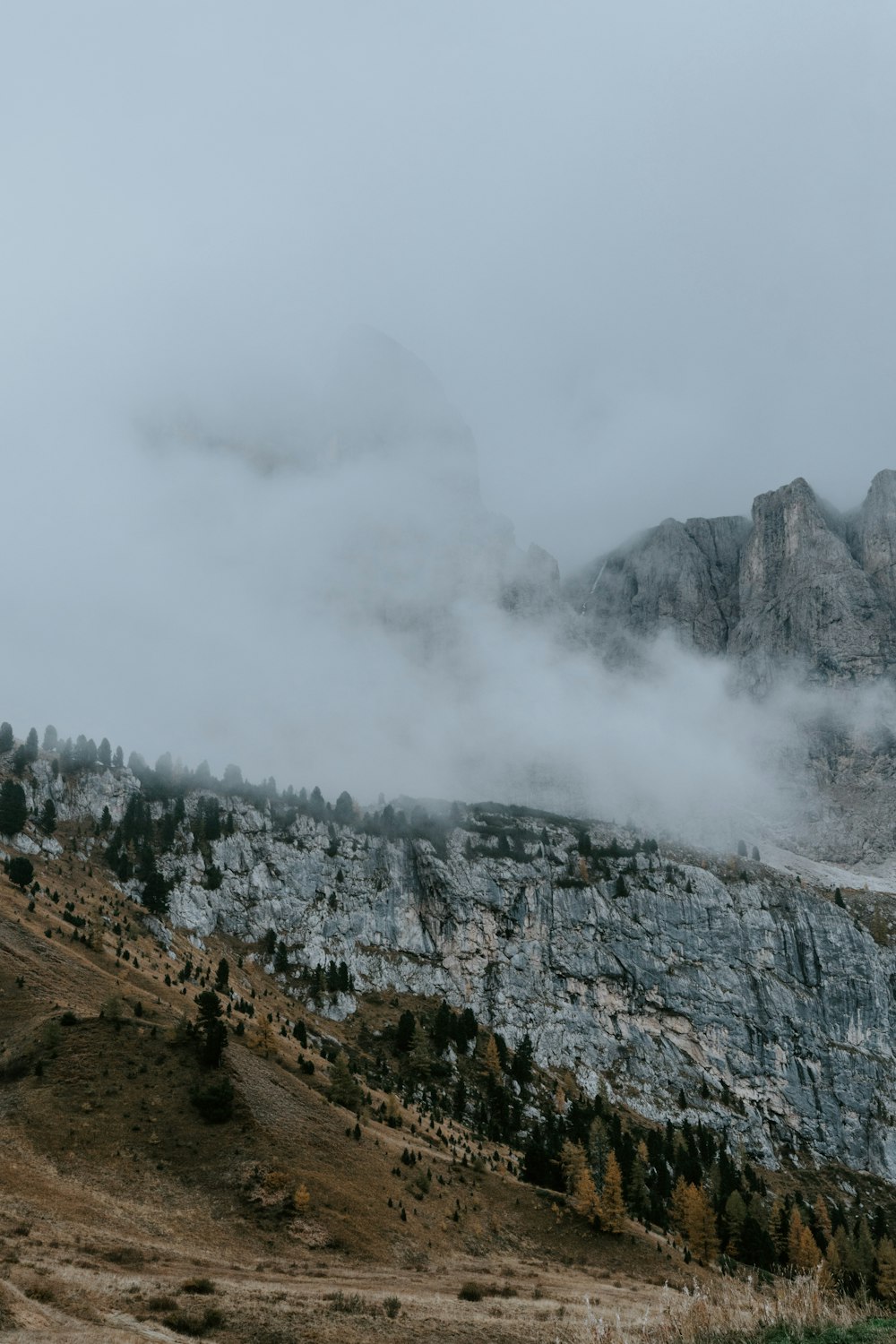 green trees on rocky mountain under white clouds during daytime