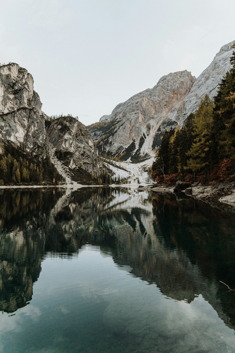 green trees on mountain beside lake during daytime