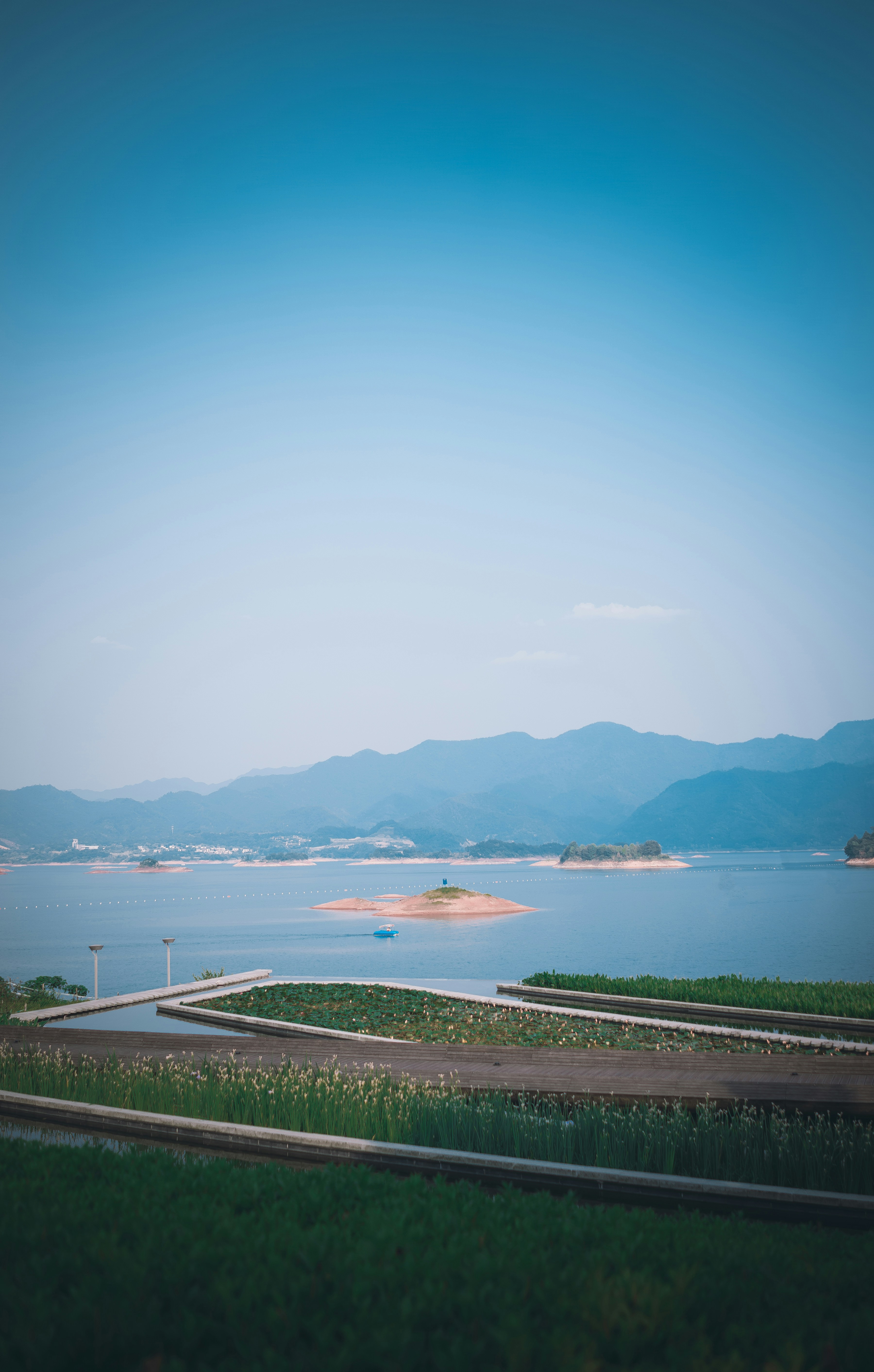 Photo by mocking_bird
