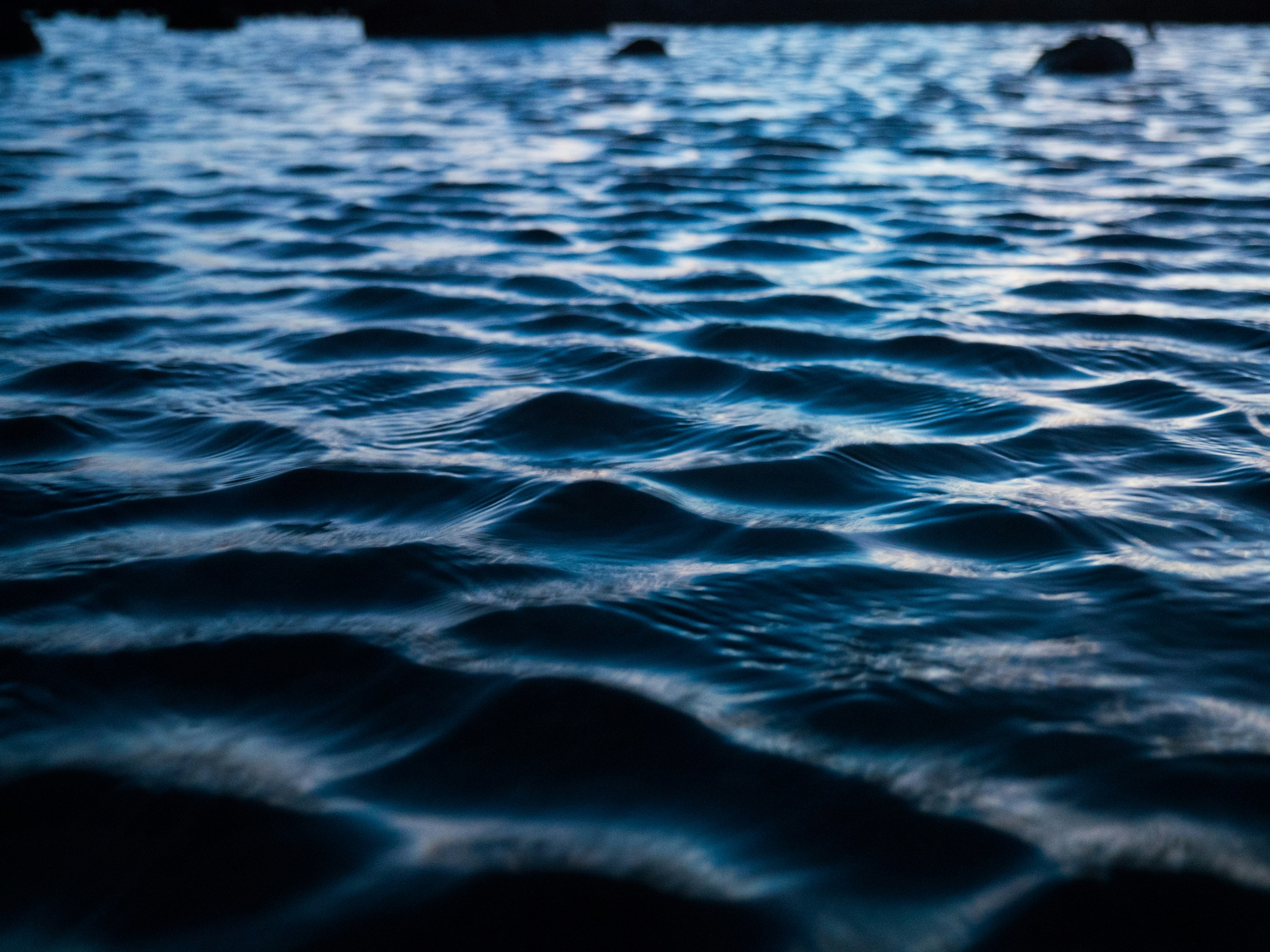 Photo by lauviah0622