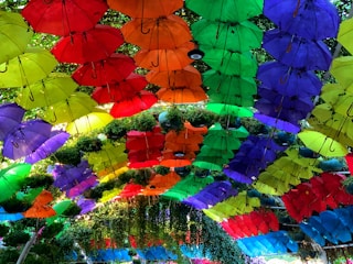 A vibrant display of colorful umbrellas open in a sunny garden setting, showcasing variety and quality.