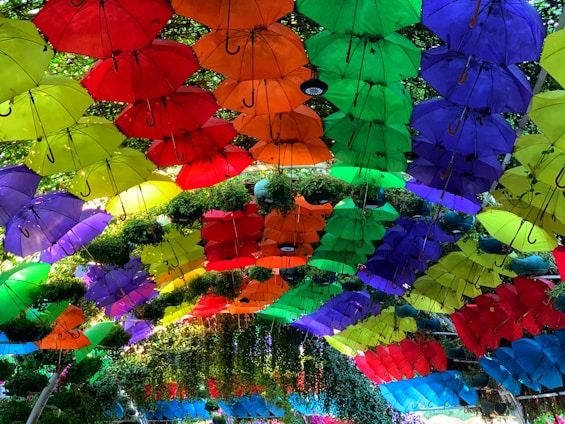A vibrant display of colorful umbrellas open in a sunny garden setting, showcasing variety and quality.