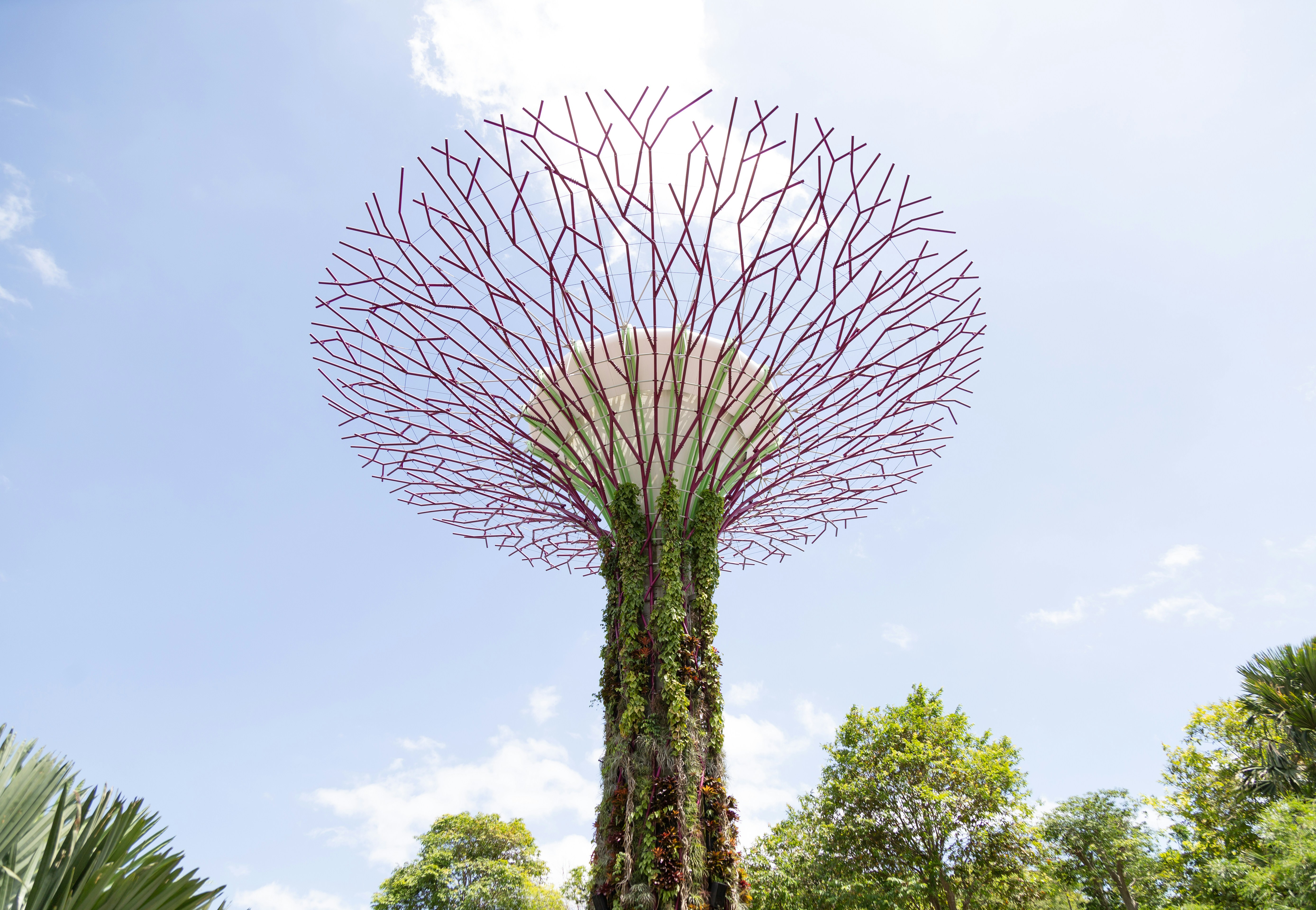 Solution Architecture for Sustainability Enthusiasts