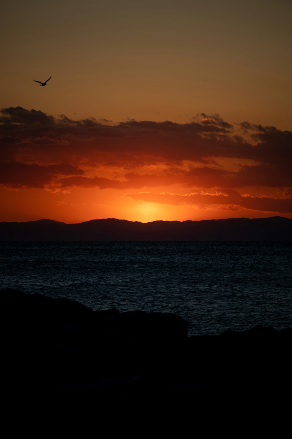 body of water during sunset