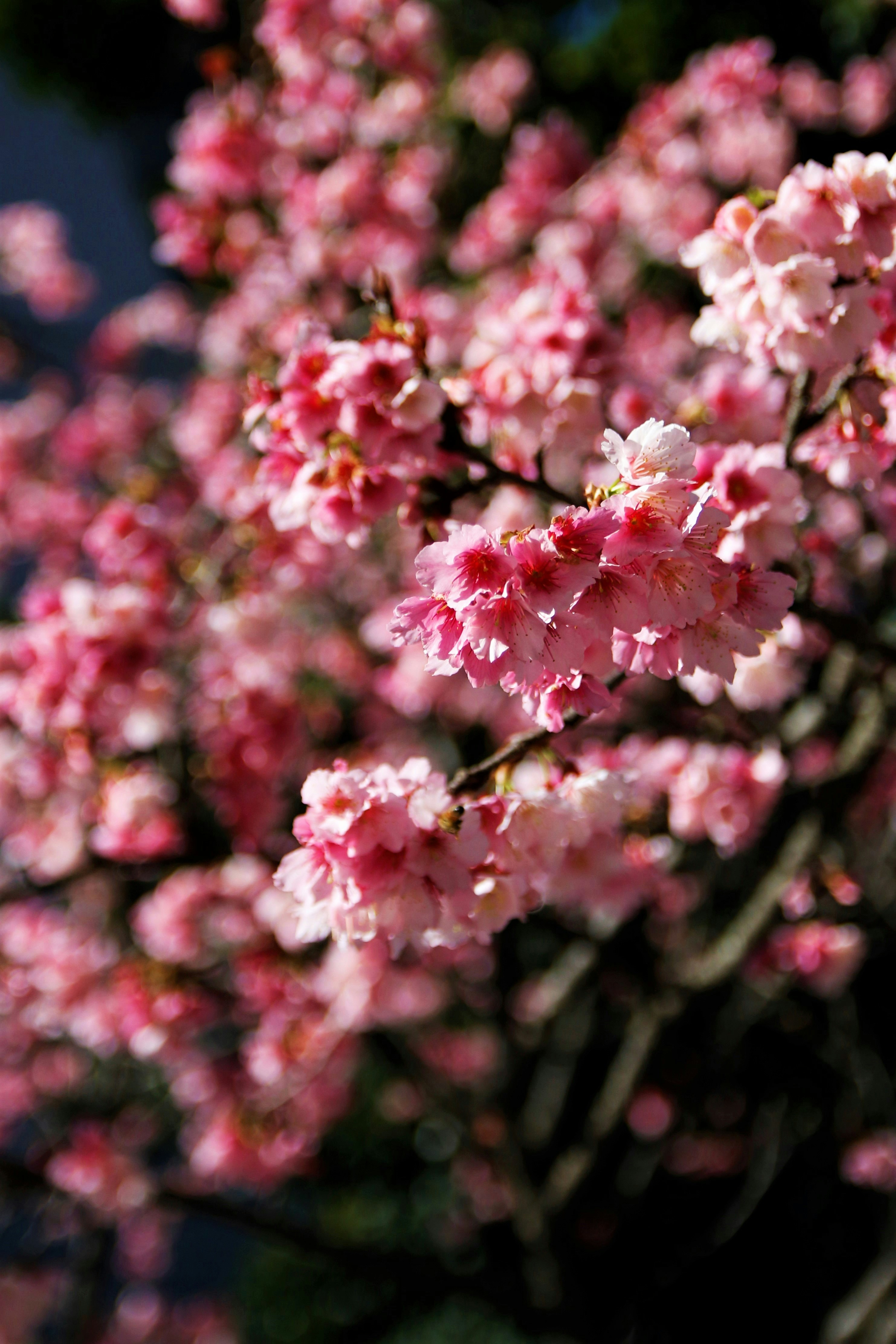 Photo by benjamin_1017