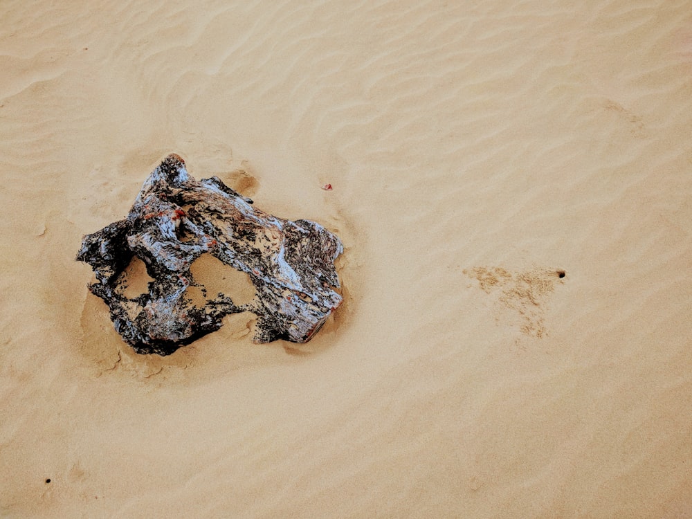 black and white stone on brown sand