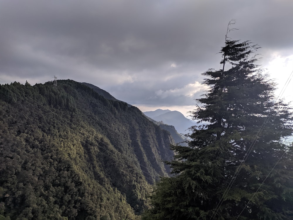 green trees on mountain under cloudy sky during daytime