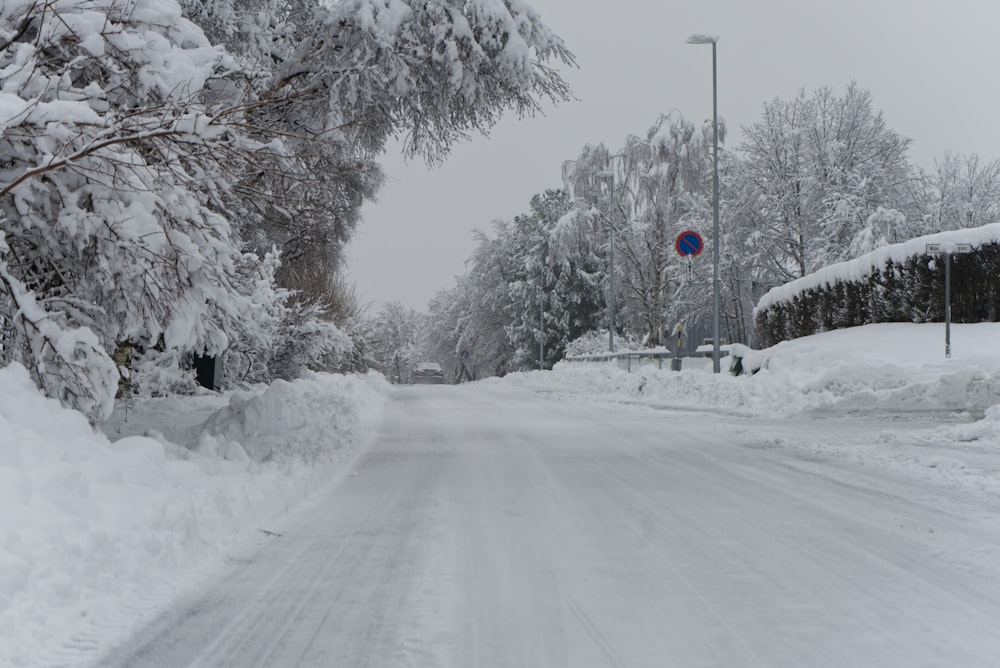 snow covered road during daytime