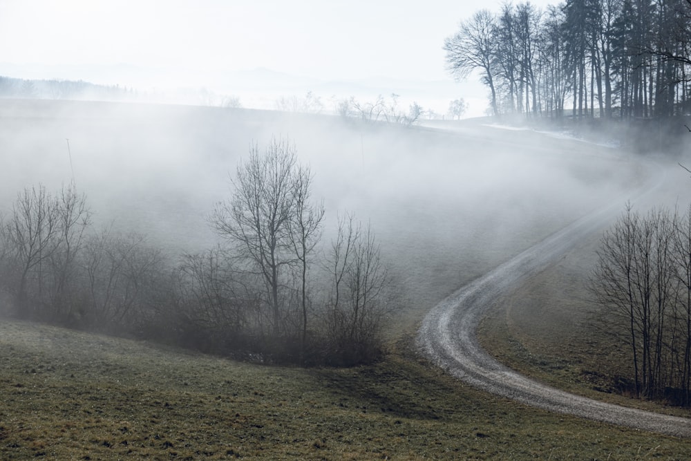a dirt road winding through a foggy field