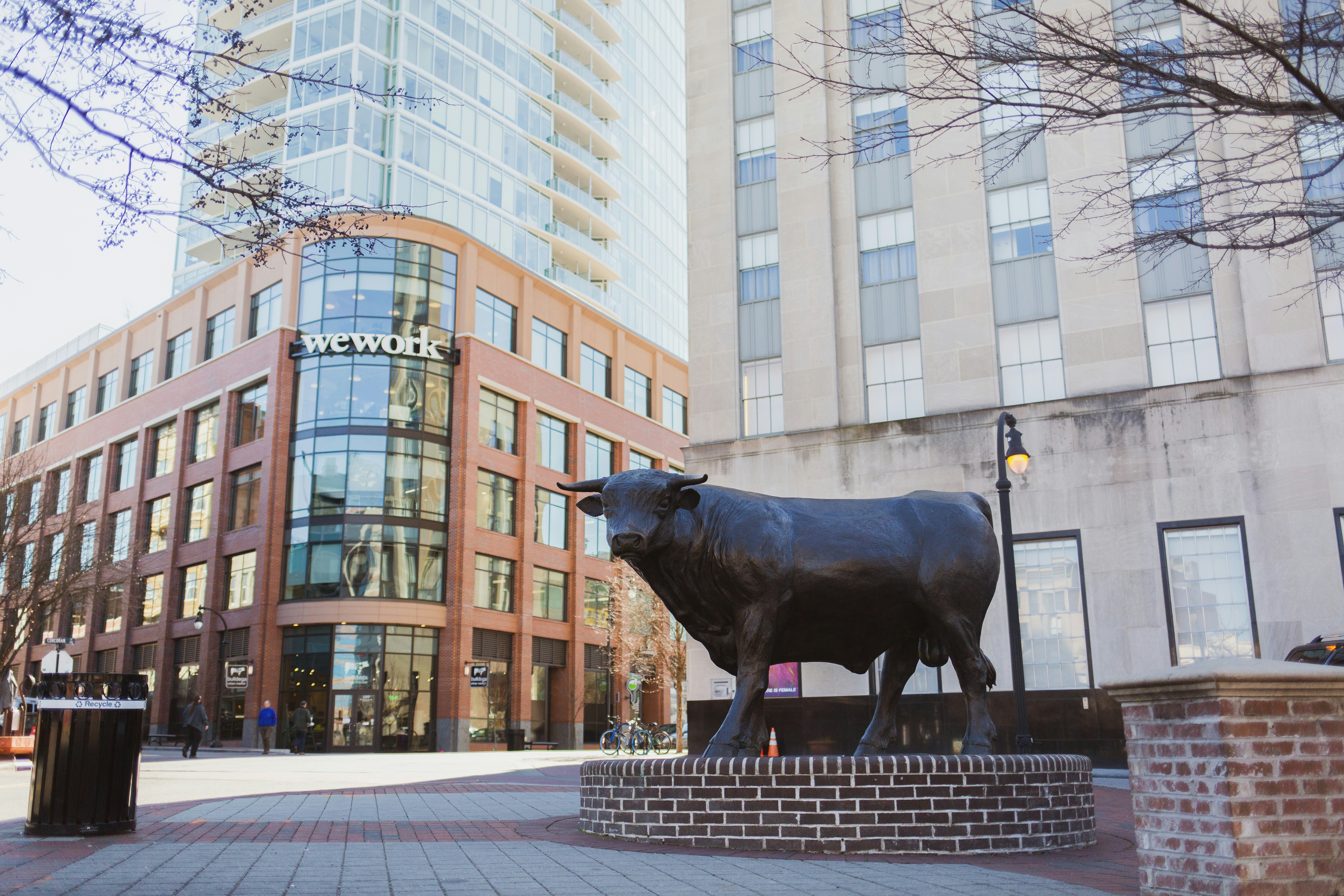 Bull market statue representing financial growth and optimism