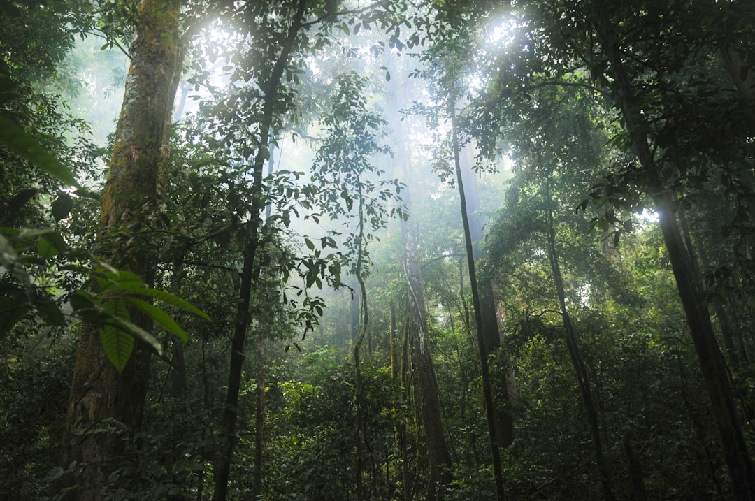 Explore Lush Rainforests and Remote Beaches with Visa-Free Access… — Explore Lush Rainforests and Remote Beaches