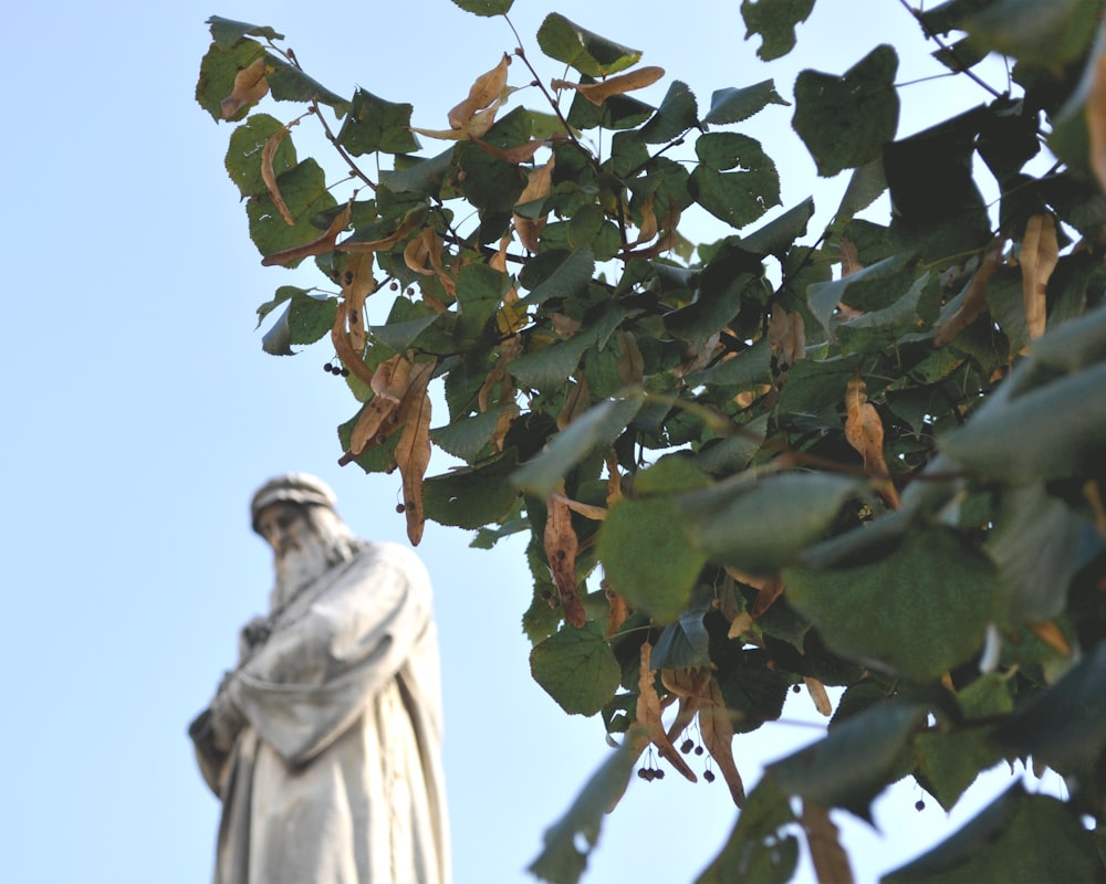 statue of man holding green leaves during daytime