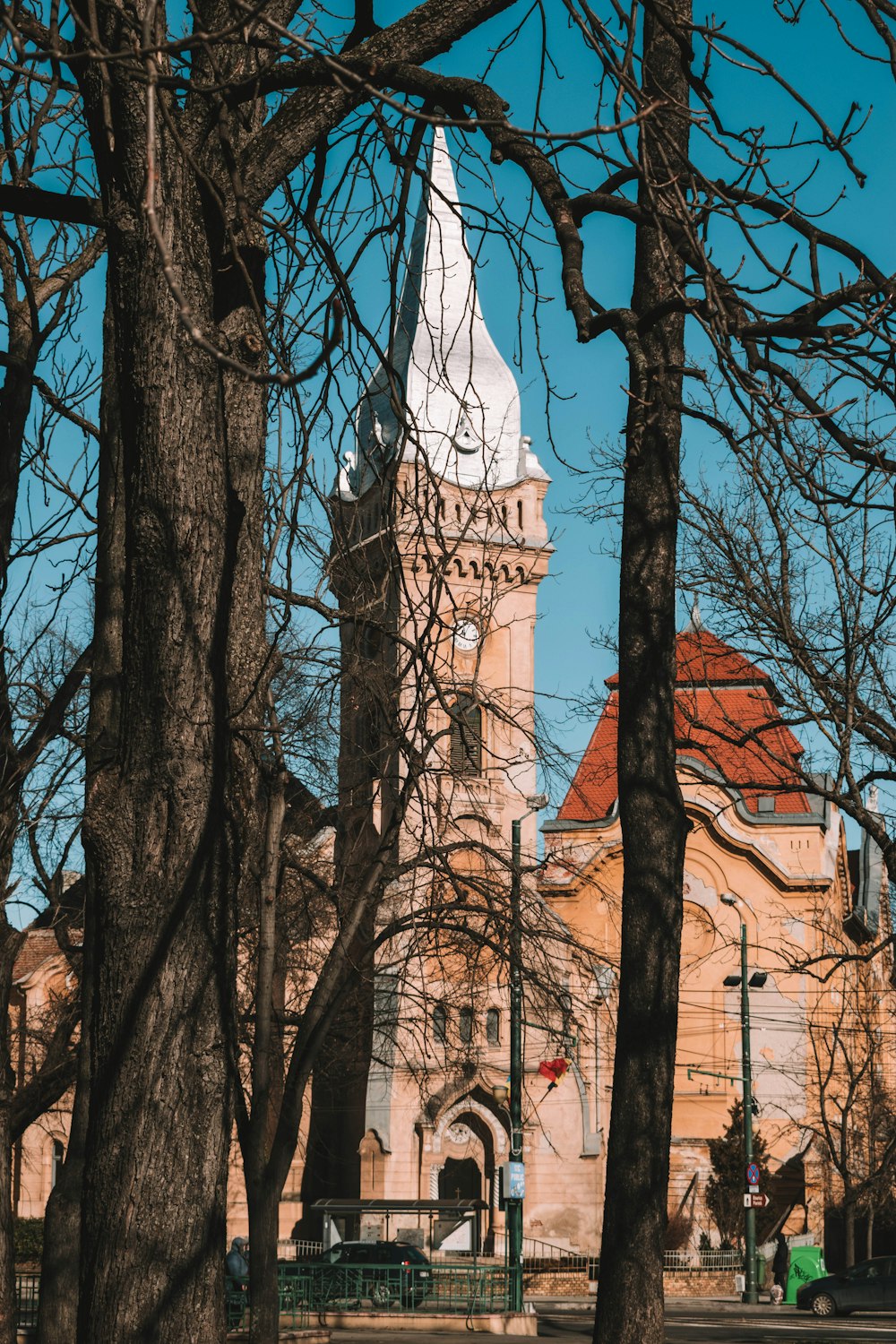 brown bare trees near brown concrete building during daytime