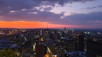 city skyline during night time