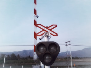 A railway crossing signal with three large circular lights is positioned under red and white striped barriers. A red and white crossbuck sign is visible above. There are telephone poles and power lines in the background with a view of mountains and trees under a pale blue sky.