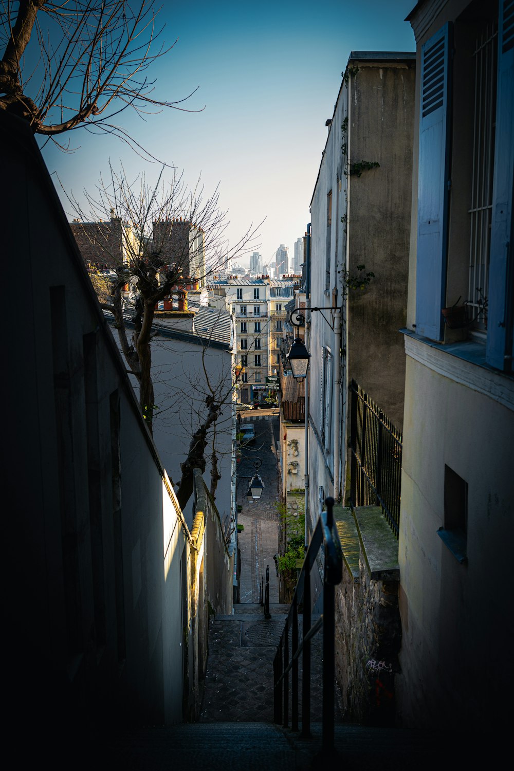 arbre nu entre les maisons pendant la journée