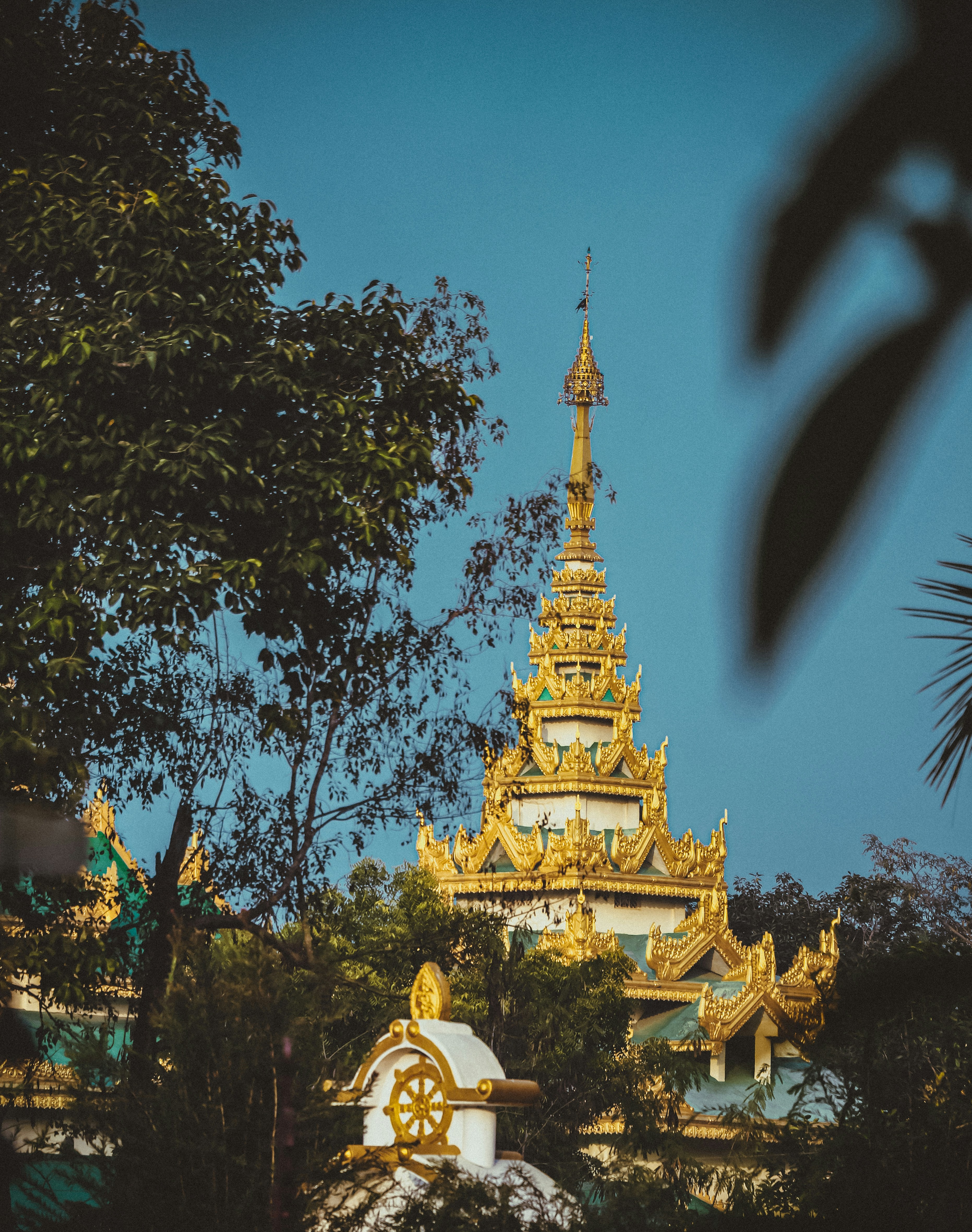 Photo by abijeason_photography