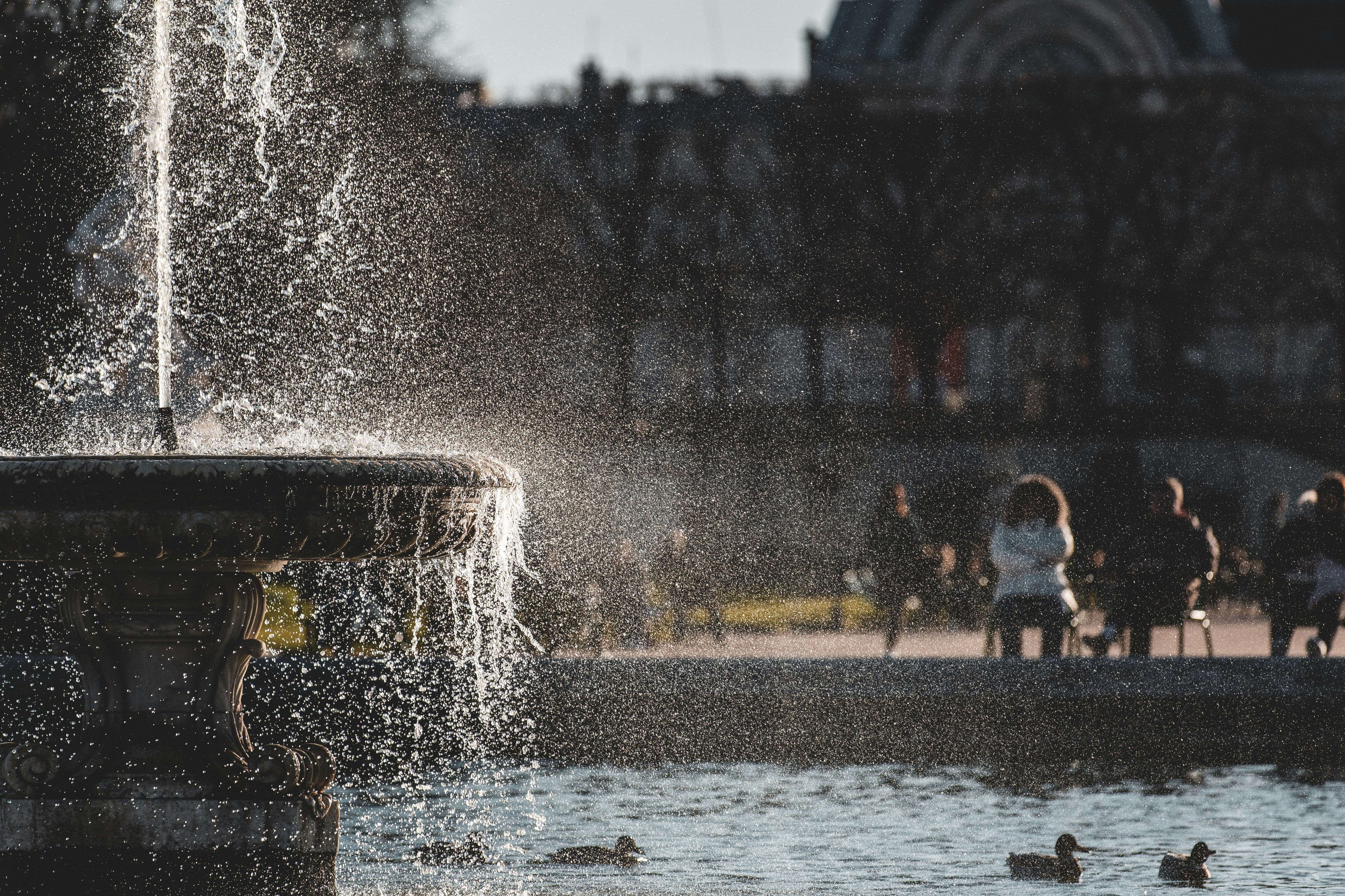 Photo by bclefou