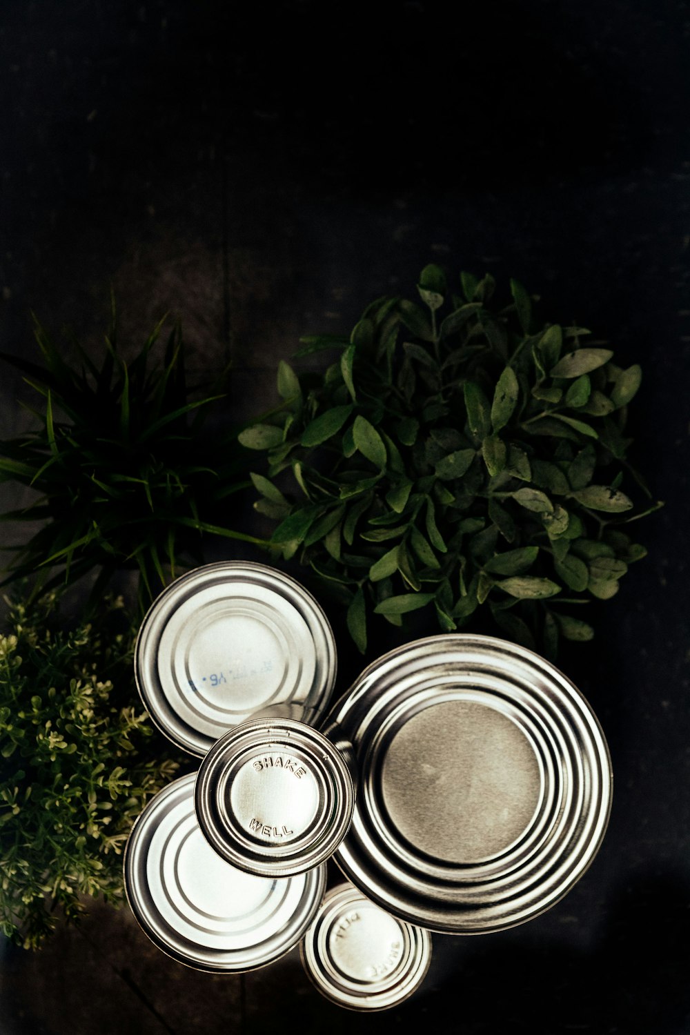 green leaves and silver round cans