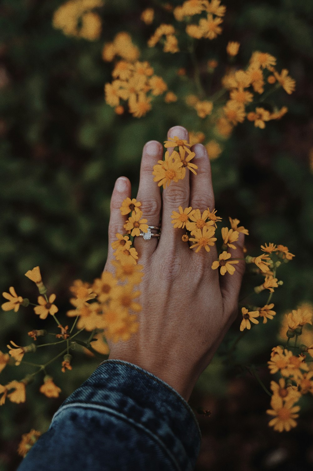 person holding yellow flowers during daytime