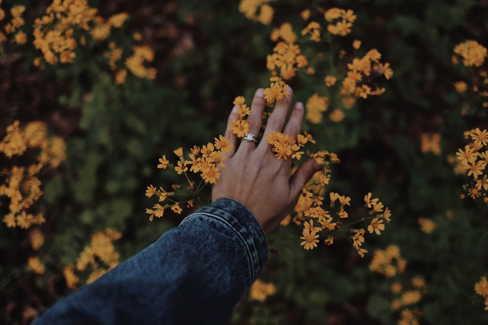 person in blue denim jeans holding yellow flowers