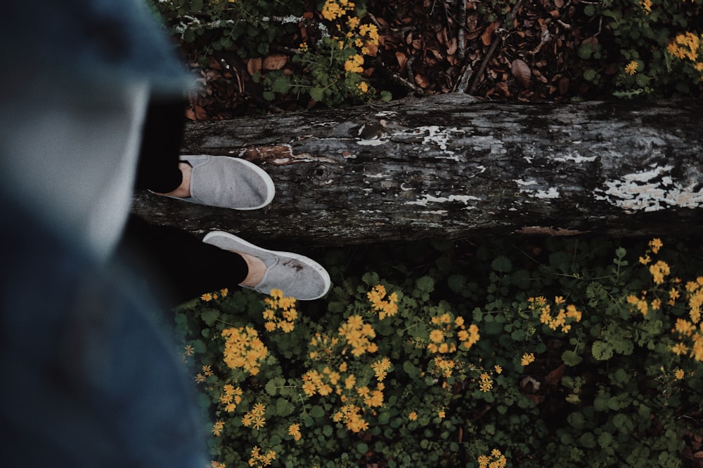 person in black pants and white sneakers standing on brown wooden log