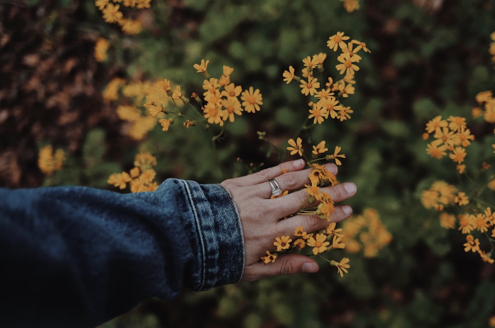 Person, die tagsüber gelbe Blumen hält