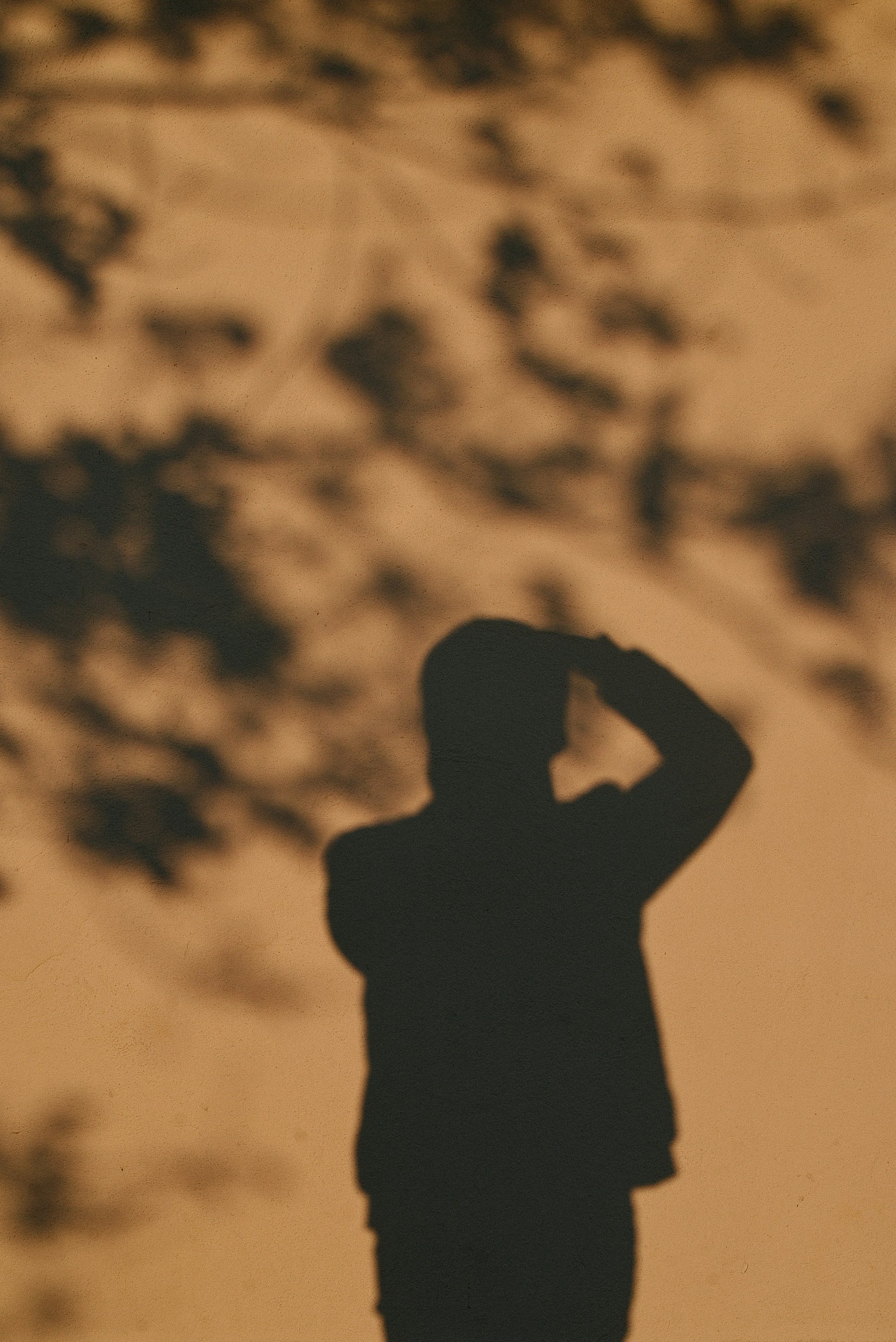 Photo by barnikakovacs