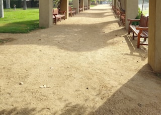 brown wooden bench near green tree during daytime