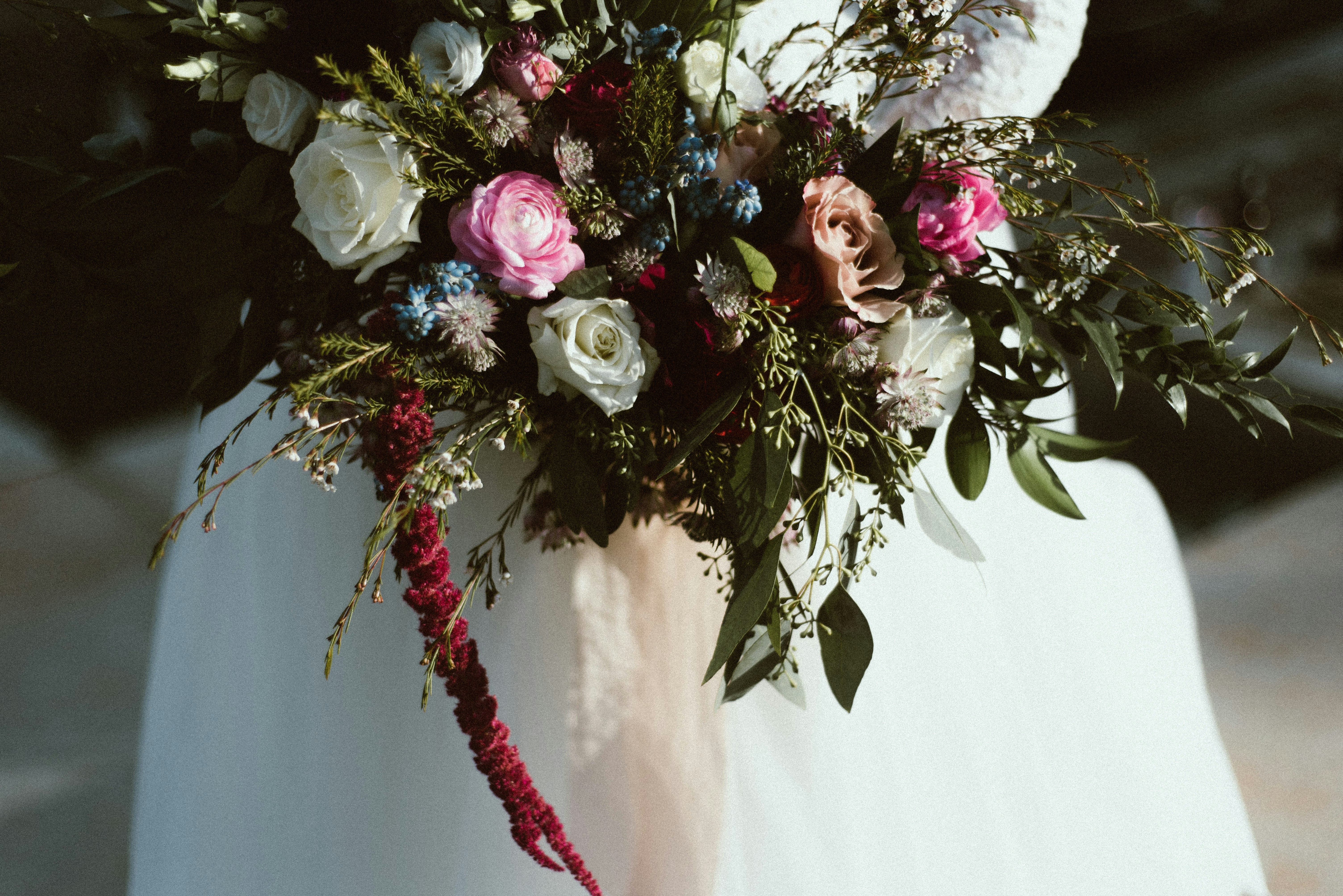 Photo by haileymwright