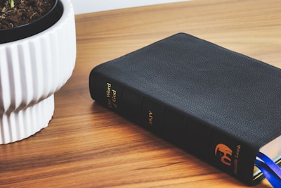 A black book with 'The Word of God' embossed in gold on its spine is placed on a wooden surface next to a white ceramic pot containing soil and a small plant. The book has a textured cover and blue ribbons sticking out from the pages.
