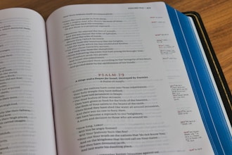 CV Hazırlama Rehberi: Dikkat Çekici Özgeçmiş Oluşturma