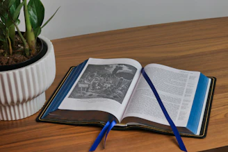 Close-up of a colorful storybook open on a wooden table with desert plants nearby.