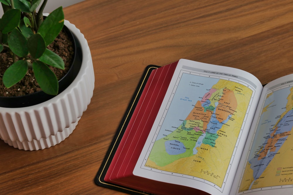 white and red book on brown wooden table