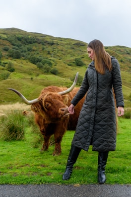 A person in a long, dark quilted coat stands on a grassy path next to a large brown highland cow with curved horns. The landscape features rolling green hills dotted with bushes and trees under a cloudy sky.