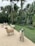 Several lifelike sheep sculptures stand on a gravel path surrounded by lush green tropical plants and tall palm trees. The setting appears to be a garden or park with metal benches visible in the background.