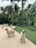 Several lifelike sheep sculptures stand on a gravel path surrounded by lush green tropical plants and tall palm trees. The setting appears to be a garden or park with metal benches visible in the background.