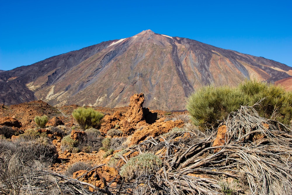 brown mountain under blue sky during daytime