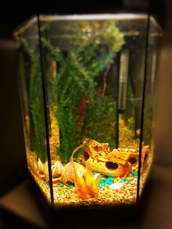 The Ultimate Guide to Aqua Home Decorations for Your Aquarium