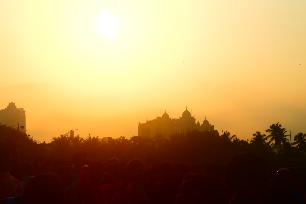 silhouette of trees during sunset