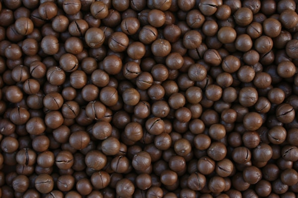 Brown coffee beans in close up photography