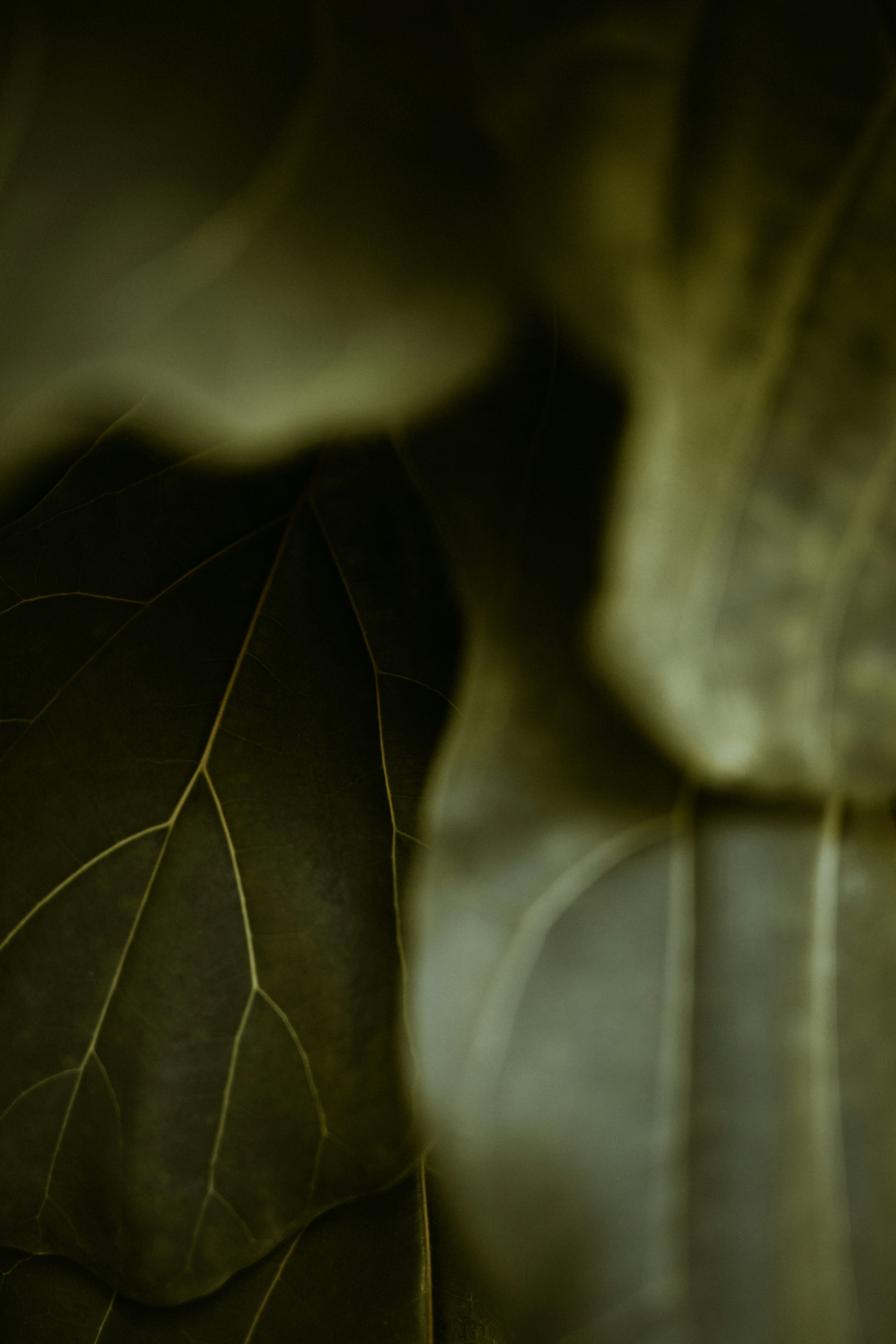 Photo by nate_dumlao