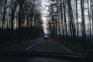 black car on road between trees during daytime