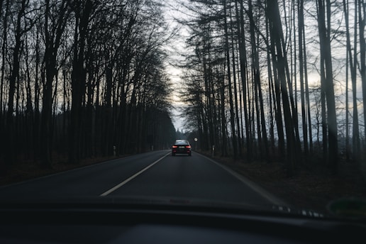 black car on road between trees during daytime