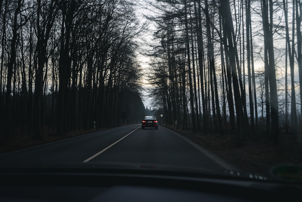 black car on road between trees during daytime