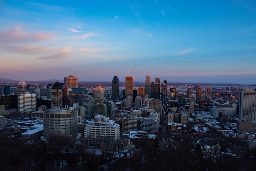 city skyline under blue sky during daytime