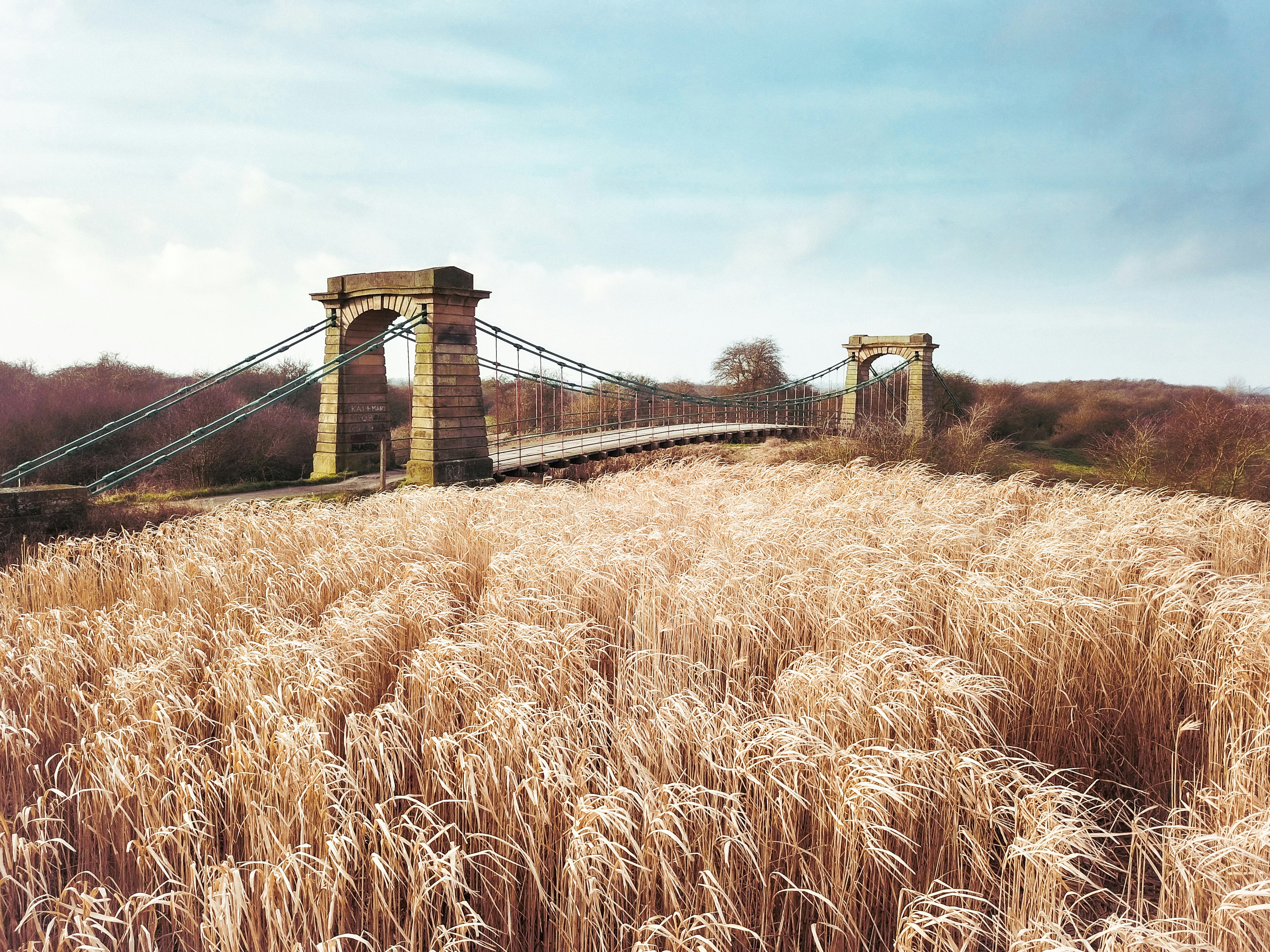 brown grass field near bridge during daytime