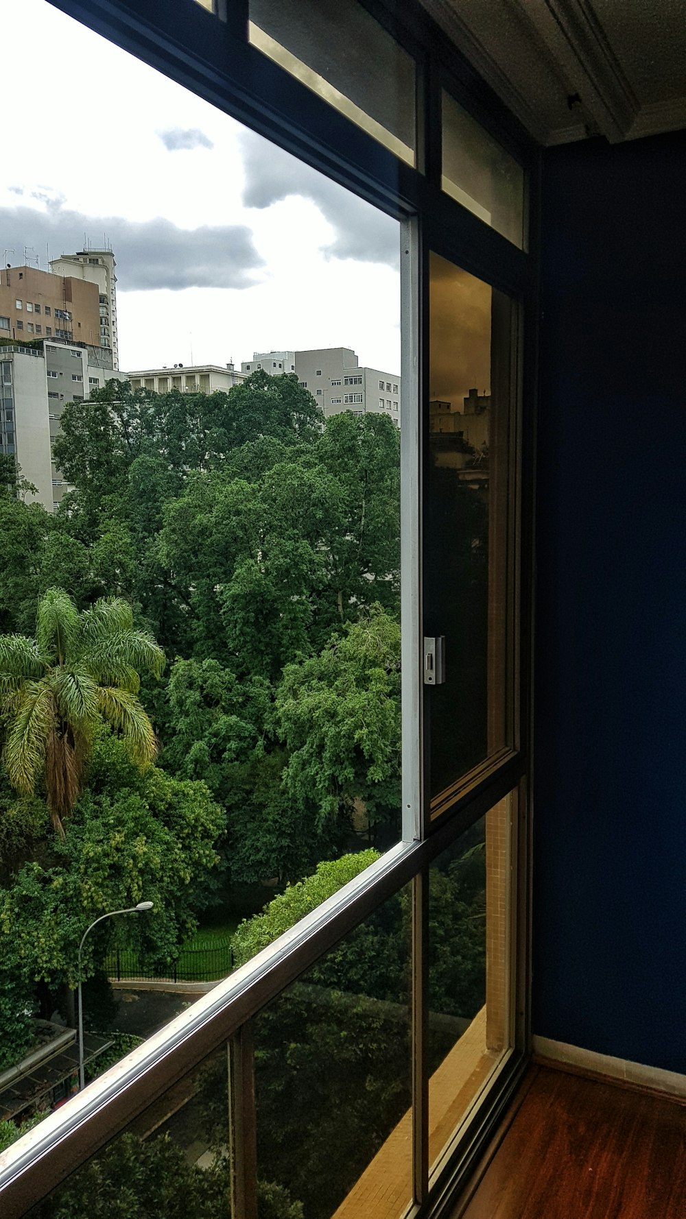 green trees near white concrete building during daytime